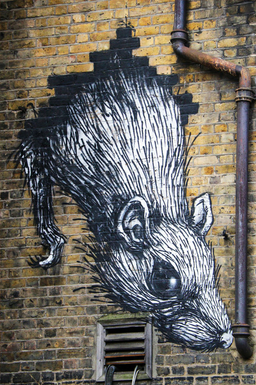 rat_illustration